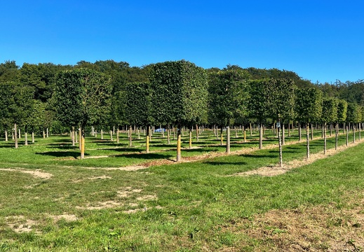 23-09-08 14-27-37 6477